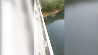 Brazilian Jumps Off Bridge