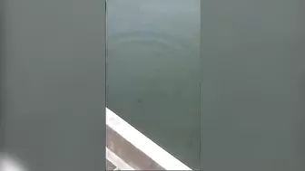 Brazilian Jumps Off Bridge