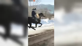 My Brother Rides His Horse Like A Bat Out Of Hell