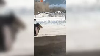 My Brother Rides His Horse Like A Bat Out Of Hell