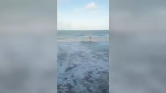 Shark Attack In Brazil