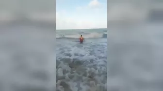 Shark Attack In Brazil