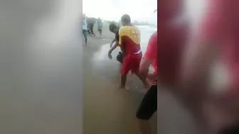 Shark Attack In Brazil