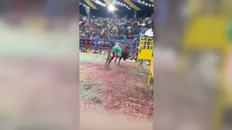Bull One Ride Zero
