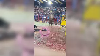 Bull One Ride Zero