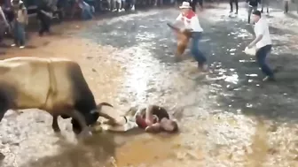 The Bull And The Stupid Man Play Rag Dolls