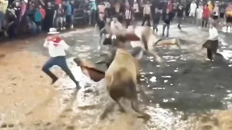 The Bull And The Stupid Man Play Rag Dolls