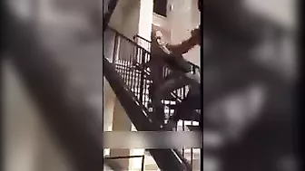 The Bully Was Brutally Choked