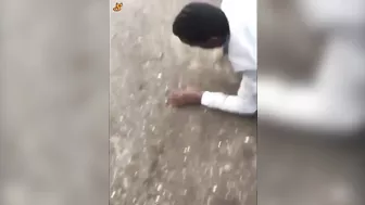 Bullying The Wrong Person