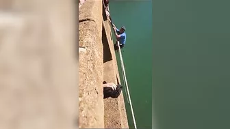 Man In Coma After Failed Bungee Jump