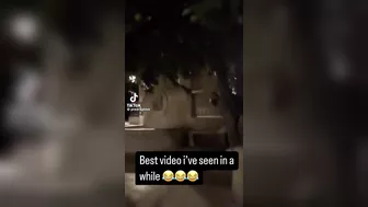 Carrying A Friend On Your Back
