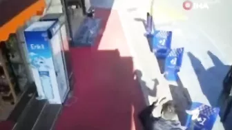 Cat Video Of The Year: "Seeing Shadows"