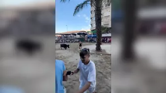 Chick Almost Raped By Bull