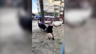 Chick Almost Raped By Bull