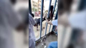 Chick Almost Raped By Bull