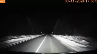 Close Encounter With Moose