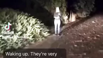 Ignorant Blonde Reporter Mistakes Mountain Lion For Dog