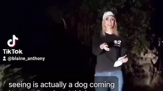 Ignorant Blonde Reporter Mistakes Mountain Lion For Dog