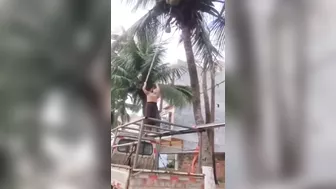 Coconuts Are Dangerous