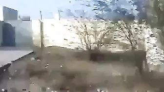 Crazy Pakistani