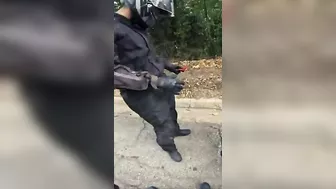 Different Shooting Angles