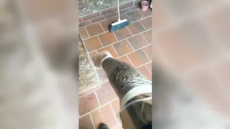 Do You Think This Mother Likes Her Son's New Tattoo Sleeve?