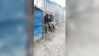 Dogs Vs Cowards