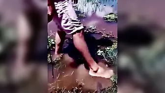 Don't Play With Animals