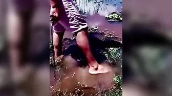 Don't Play With Animals