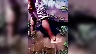Don't Play With Animals
