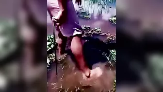Don't Play With Animals