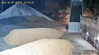 Don't Stick Your Head There.