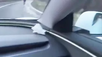 Driver Prevents Wolf Attack
