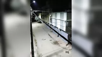 Drunken Moroccan Circus