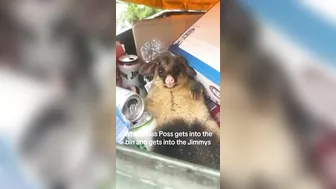 Drunk