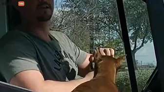 A Man Driving A Van With A Gun Pointed At His Car Is Being Harassed By A Narcissistic Asshole