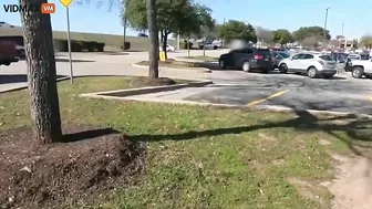 A Man Driving A Van With A Gun Pointed At His Car Is Being Harassed By A Narcissistic Asshole