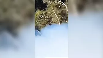 Dude Thought He Was Safe Behind The Barriers At A Car Race