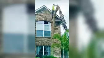 This Guy Is Having A Bad Day.