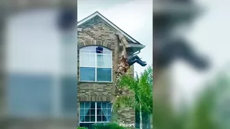 This Guy Is Having A Bad Day.