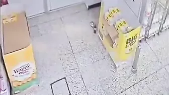 The Idiot Limped Away With A Broken Leg.