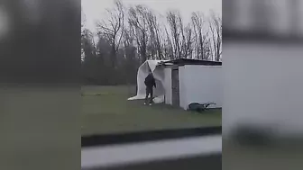 Eagle