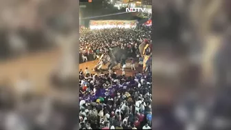 Elephants Go On Rampage During Indian Festival