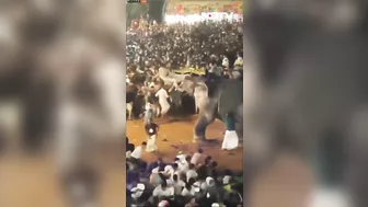 Elephants Go On Rampage During Indian Festival