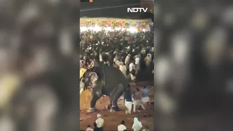 Elephants Go On Rampage During Indian Festival