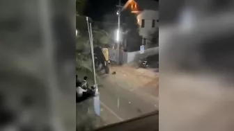 The Whole City Is Trying To Stop This Poor Giant Elephant. Leave Him Alone.