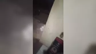 Delicate Girl Encounters The Wild Hands Of Brazilian Police