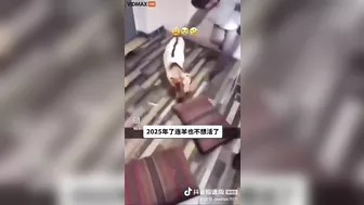 Have You Ever Seen A Goat So Eager To Cook Its Own Food?