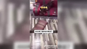 Have You Ever Seen A Goat So Eager To Cook Its Own Food?