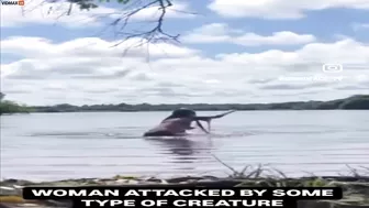 Have You Ever Seen Someone Being Attacked By A Capybara?